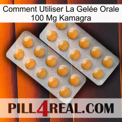 Comment Utiliser La Gelée Orale 100 Mg Kamagra levitra2